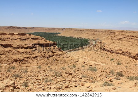 Cultivated fields and palms in Errachidia  Morocco North Africa Africa
