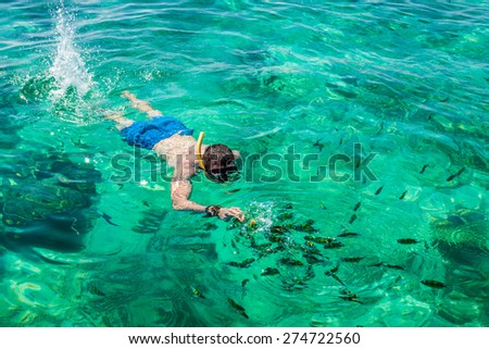 Man snorkeling at Phi Phi Island, Phuket, Thailand