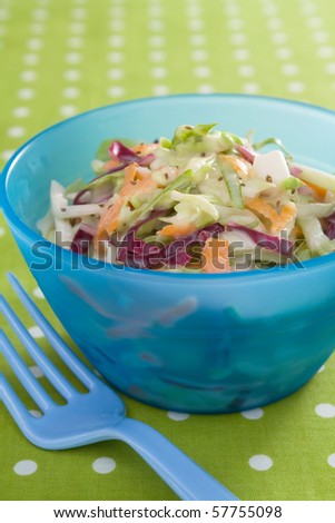 Fresh cole slaw made with green cabbage, red cabbage, carrots, and mayonnaise.