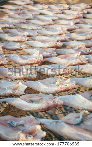 Dried fish. Dried fish dry in sunlight to make it keep-able for long time.