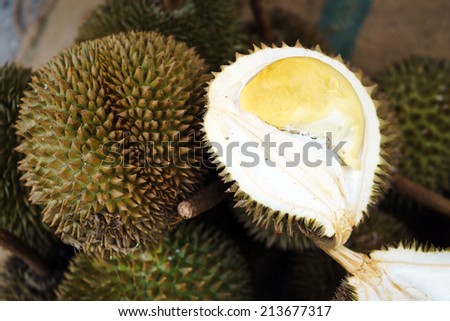 King of fruits, Durian, Tropical Fruit