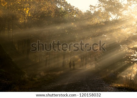 A young couple holding hands walks through the woods guided by the light of the rising sun.