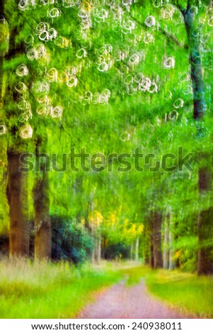 Circles of Light Motion . Abstract motion blur of light and trees in a spring forest.