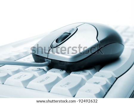 The computer mouse and the keyboard