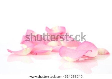 petals of roses