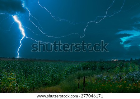 Heavy thunderstorm rolling through a cornfield in sweden.