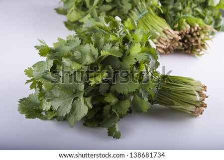 bunch of green coriander on a front and two bunches on background on a white table