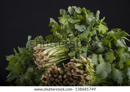 three bunches of green fresh coriander on a black background