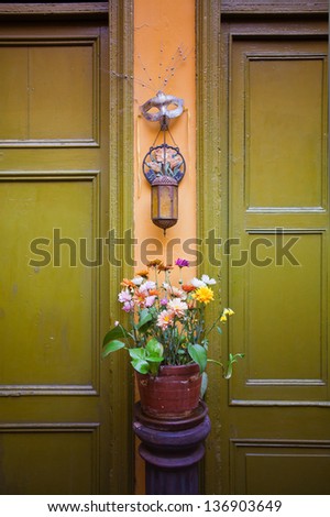 interior decoration with painted wooden doors background