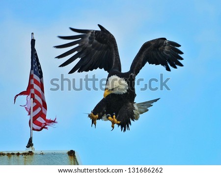 Eagle landing flag