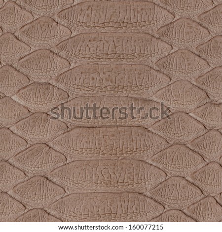 painted in brown snake skin close up