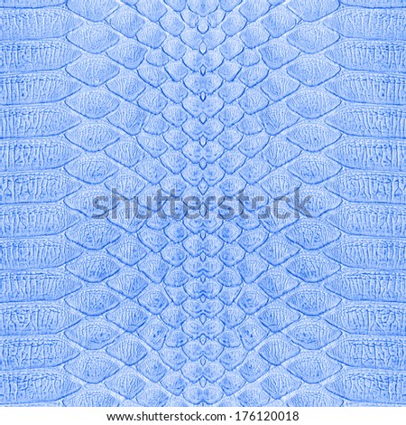 blue snake skin