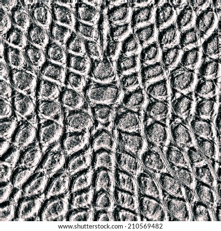 fragment of gray reptile skin pattern