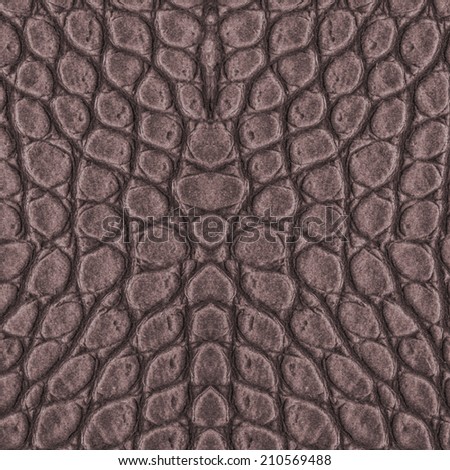 fragment of brown reptile skin pattern