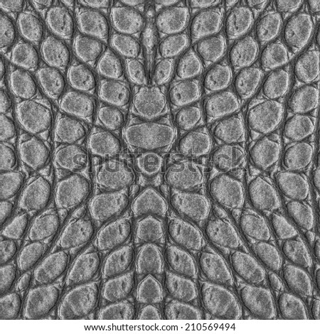 fragment of gray reptile skin pattern