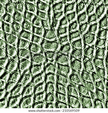 fragment of green reptile skin pattern