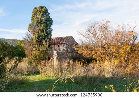 Old little house and cypress in Provence (GarÃ?Â©oult - France)
