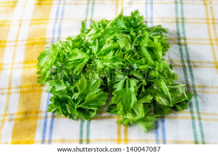 Cleaning and preparation of green parsley leaves to keep frozen in the fridge