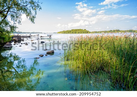 Transparent clear water and reeds under the sun on the bank of the Dnieper River in Kiev