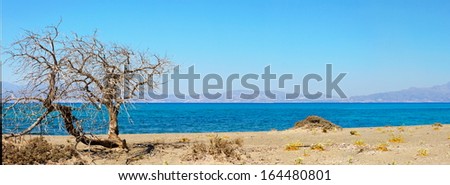 Chrissi is an uninhabited Greek island approximately 15 kilometers south of Crete close to Ierapetra in the Libyan Sea. The island hosts the largest naturally formed Lebanon cedar forest in Europe.