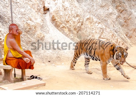 Kanchanaburi, Thailand - May 23, 2014:Unknown buddhist monk with a bengal tiger at the Tiger Temple  in Kanchanaburi, Thailand.The Temple was founded in 1994 as a sanctuary for wild animals.
