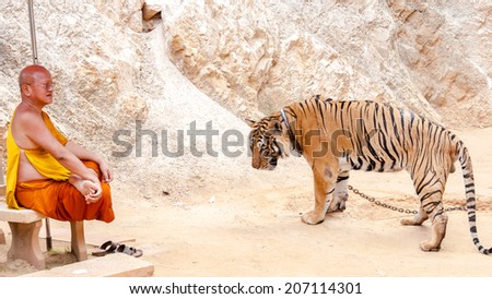 Kanchanaburi, Thailand - May 23, 2014:Unknown buddhist monk with a bengal tiger at the Tiger Temple  in Kanchanaburi, Thailand.The Temple was founded in 1994 as a sanctuary for wild animals.
