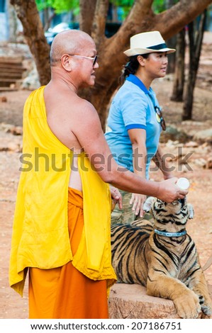Kanchanaburi, Thailand - May 23, 2014: Buddhist monk feeding with milk a Bengal tiger at the Tiger Temple in Thailand.The Temple was founded in 1994 as a temple and sanctuary for wild animals.