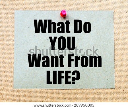 What Do You Want From Life? written on paper note pinned with red thumbtack on wooden board. Motivation conceptual Image