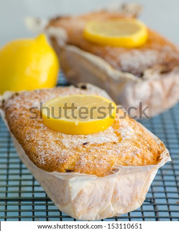 Fresh tasty lemon cake garnished with sliced lemon still wrapped in greaseproof paper cooling on a metal grid in the kitchen