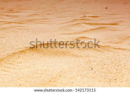 lines in the sand of the beach