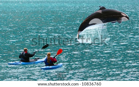 Huge killer whale jumped in front of two sea kayaks - Alaska USA