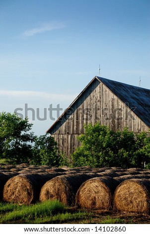 Hay Bales stored outdoor at front of old wooden barn