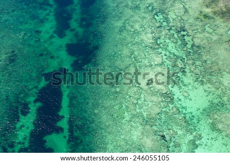 Aerial photo of reef texture under the shallow waters of the Indian Ocean. Deep blue to turquoise color natural background pattern. Chale Reef, Kenya.