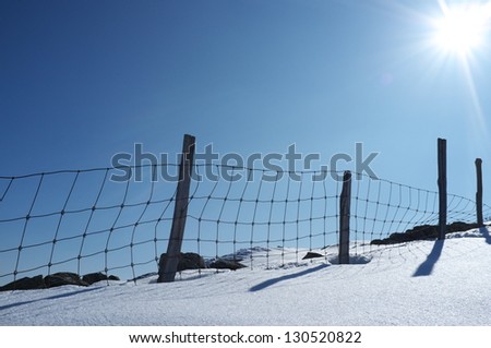 Wire mesh fence on a snowy field