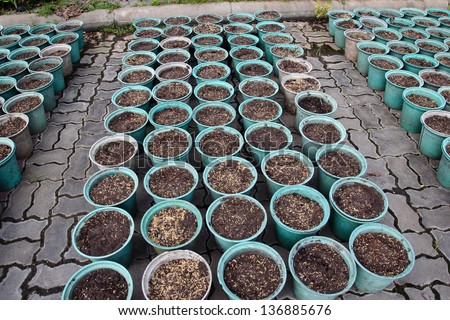 Potting soil with good compost for your Plant