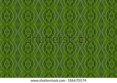 Pattern of leaves. ( art from nature ) part 4