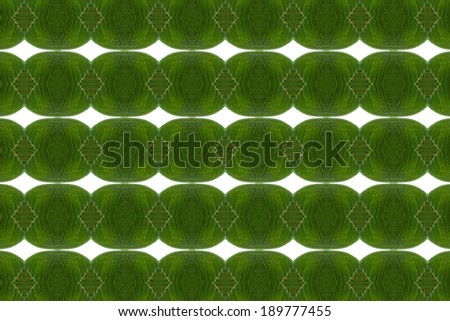 Pattern wall concept.( leaf form concept)