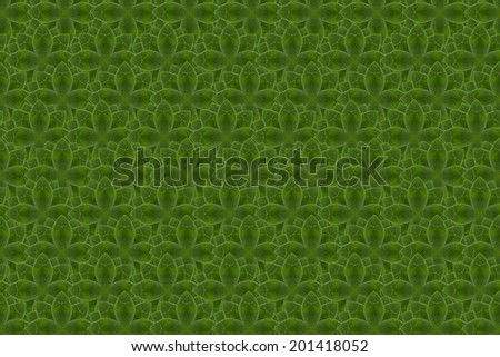 Pattern from leaf.(Wall paper concept)