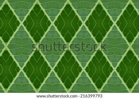 Idea form leaf.(Pattern for wallpaper concept)