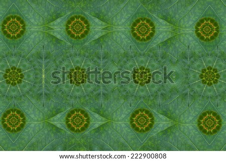 Idea form leaf.(Pattern for wallpaper concept)