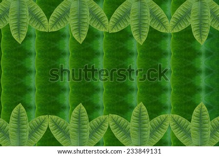 Create from leaf.(Wallpaper concept