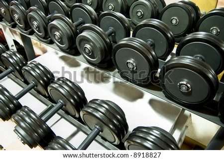 Closeup of a row of free weights in the gym