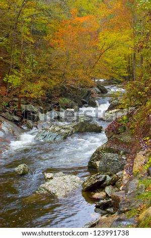 A river in the Great Smoky Mountains running through a forest in fall color