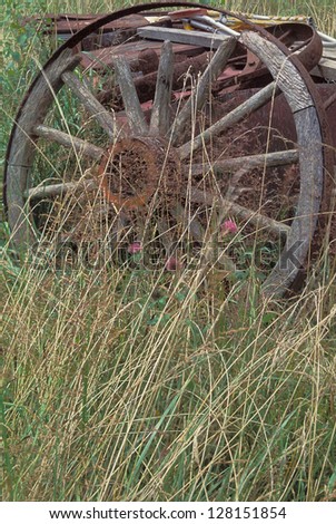 An old wagon wheel left out in tall grass