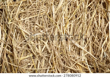 rice straw use for background