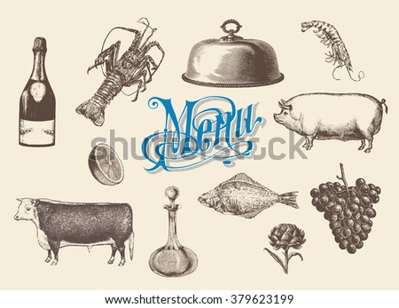 Hand drawn vintage sketch set of food and drinks for design of the menu. Vector illustrations, engraving style