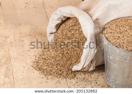 oat seed grain in burlap sack bag on wooden farm