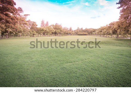 Green grass on a golf field - Vintage retro picture style