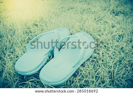 Colored flip flop sandals. Sandals on grass background - Vintage retro picture style.