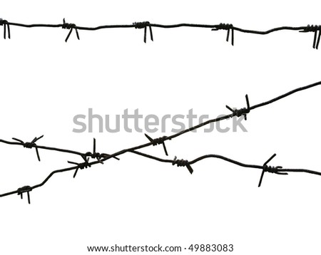 Barbed wire is isolated on a white background